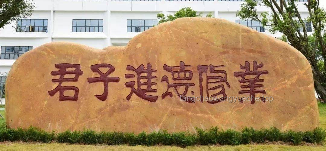 **深圳理工大学：我的追梦之旅与成长启示🌟**